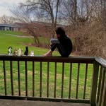 Jeffrey Dale - @jeffrey_samples_ - Instagram