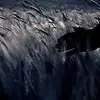 jeffreysands3 - @jeffreysands3 - TikTok