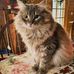 Jeffery Scheetz - Facebook
