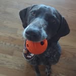 Jeffrey Schnabel - @el_jefe1964 - Instagram