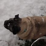 Jeffrey Seal - @jeffrey.seal.980 - Instagram