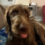 Jeffrey Shade - @shade.jeffrey - Instagram
