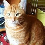 Jeffrey Shaw - @jeffreyshaw1330 - Instagram