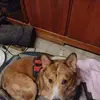 Jeff Shear - @jeff.shear - TikTok