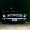 jeffreyshellhamme1 - @jeffreyshellhamme1 - TikTok