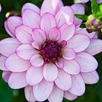 Shell Jeffrey - @shell.jeffrey - Instagram