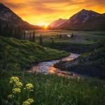 Jeffrey Sherry - @jeffreysherry433 - Instagram