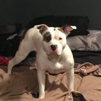 Jeffrey Shull - Facebook