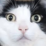 Jeffrey Sickels - @jeffreysickels - Instagram