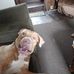 Jeffrey Sires - Facebook