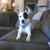 Jeff Siebert - Facebook