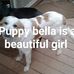 Jeff Simpkins - Facebook