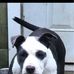 Jeffery Snyder - Facebook
