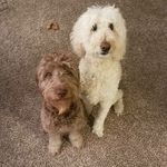Jeffrey Snyder - @jeff.snyder3 - Instagram