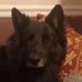 Jeffrey Sorrells - Facebook