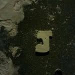 Jeffrey Springbrum - @jeffreyspringbrum - Instagram