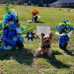 Jeffrey Stansell - @jeffreyallenstansell - Instagram