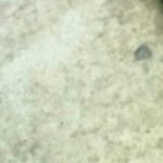 jeffrey star - @jeffrey_star_backup - Instagram