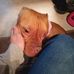 Jeffrey St Clair - Facebook