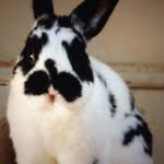 Jeffrey Stern - @jffrystrn - Instagram