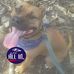 Jeff Strother - Facebook