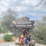 Jeffrey Strother - @jeffreys_11 - Instagram