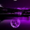 Jeffrey Stotts - @jeffreystotts5 - TikTok