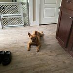 Jeffrey Sylvia - @jmsone25 - Instagram