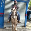 Jeffry Tapia - @jeffrytapia0 - TikTok