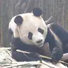 Jeffery Tham - @jefferytham - TikTok