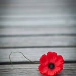 Jeffrey Tham - @jeffrey.tham.3348 - Instagram