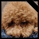 Jeffrey Tham - @jeffrey.tham.12 - Instagram