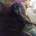 Jeffrey Thies - Facebook