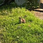 Jeffrey Tooley - @jeffreytooley - Instagram