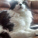 @jeffreytooley1357 - Instagram