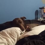 Jeffrey Toro - @toro.jeffrey - Instagram
