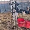 Jeffrey F Ochoa Torrez - @jeffrey.f.ochoa.t - TikTok