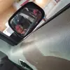 Jeffery Treat - @jefftreat595 - TikTok