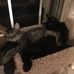 Jeff Trost - Facebook