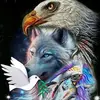 Jeffrey Vale - @jeffreyvale667 - TikTok