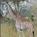 Jeffery VanHoose - Facebook