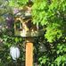 Jeff VanSickle - Facebook