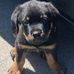 Jeff Vansickle - Facebook