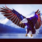 Jeff Volkert - Facebook