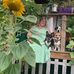 Jeff Wald - Facebook