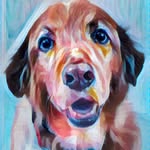 Jeff Waldbillig - @jeffrey.waldbillig - Instagram