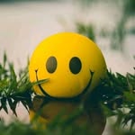 Jeffrey Walker - @jeffreywalker503 - Instagram