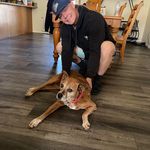 Jeffrey Walker - @jeffreywalkerbb - Instagram