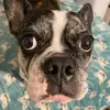 jeffreywalker393 - @jeffreywalker393 - TikTok
