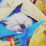 Jeffrey Wasserman - @jeffwasserman01 - Instagram